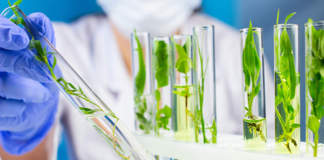 biostimolanti normativa