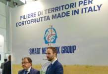ortofrutta