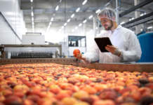 Sicurezza alimentare, l’Europa non può risparmiare sull’agricoltura sicurezza alimentare