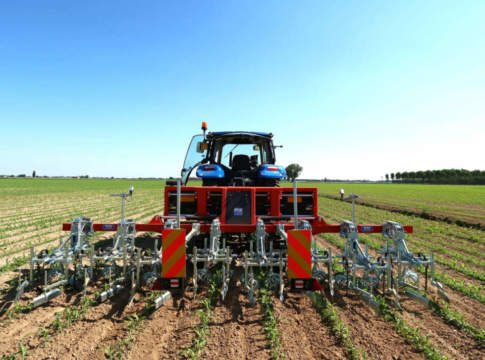 Biologico: una questione meridionale biologico