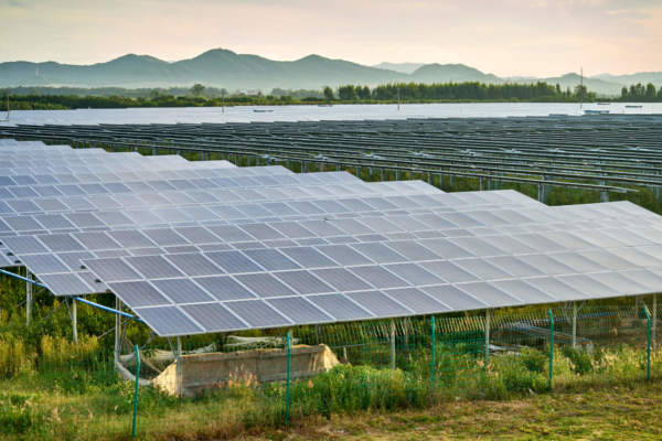 agrivoltaico