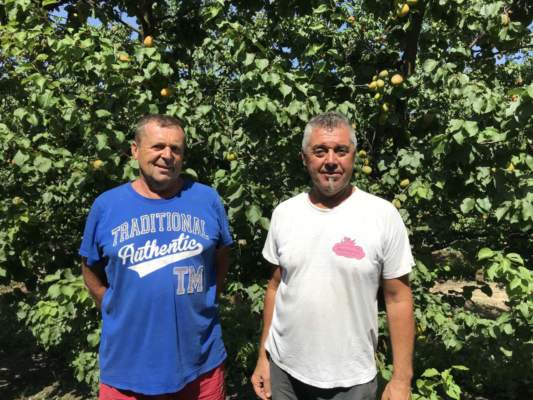 gestione del rischio