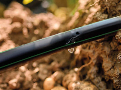 irritec società benefit