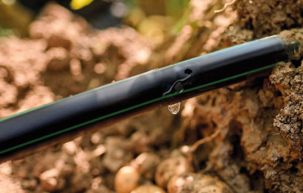 irritec società benefit