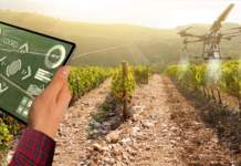 agricoltura precisione