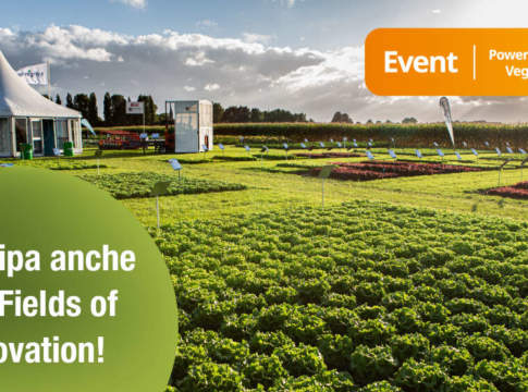 fields of innovation 2022