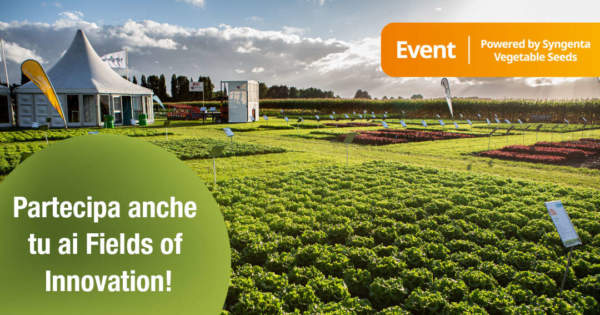 fields of innovation 2022