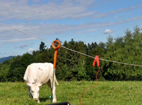 recinzioni gallagher