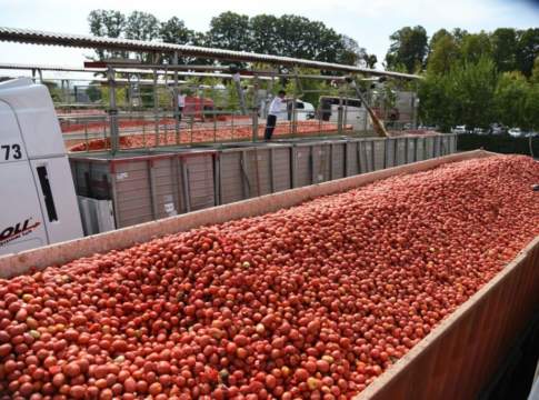 pomodoro da industria