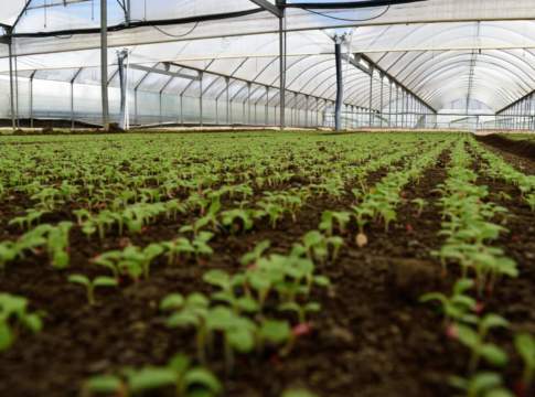 Coralluzzo microclima