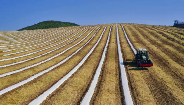smaltimento ali gocciolanti