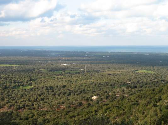 puglia sviluppo rurale