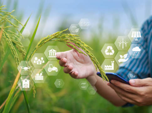 Criteri Esg, agricoltura maglia nera secondo Crif criteri Esg