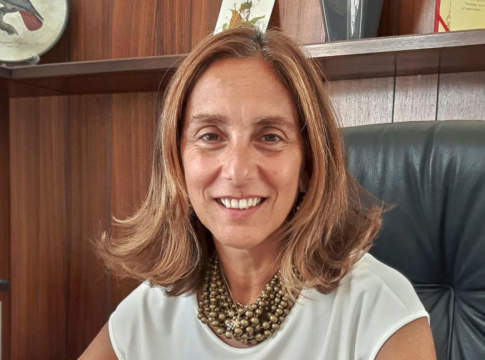 Agrumicoltura: qualcosa si muove