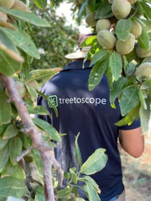treetoscope irrigazione