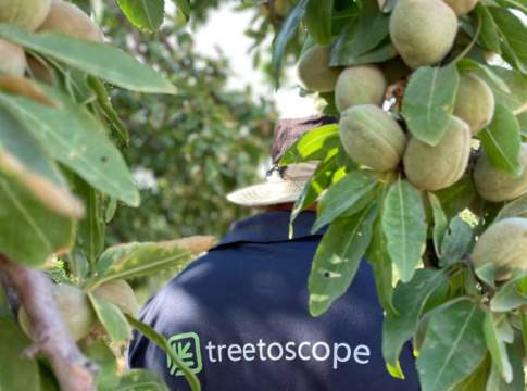 treetoscope irrigazione