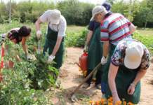 Agricoltura sociale, i vincitori del bando promosso da Confagricoltura agricoltura sociale