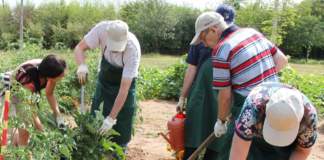 Agricoltura sociale, i vincitori del bando promosso da Confagricoltura agricoltura sociale