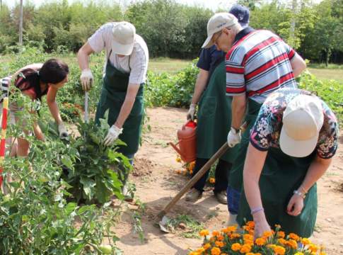 agricoltura sociale