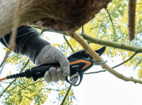 forbici per potatura pellenc