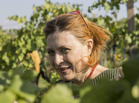 Quell’impronta femminile che rinnova il comparto vino