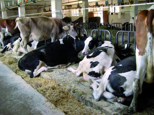 emissioni industriali