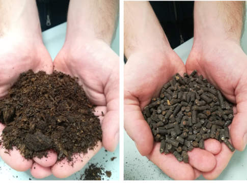 progetto afrodite fomet