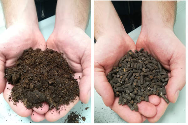 progetto afrodite fomet