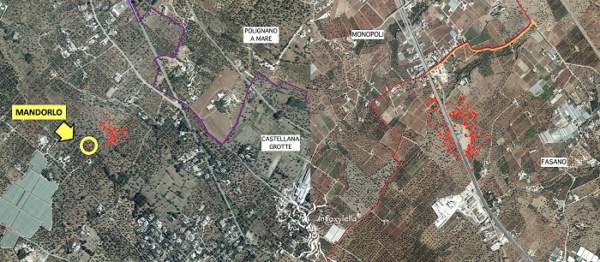 monitoraggio xylella puglia