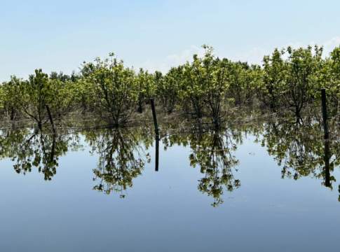 cambiamento climatico