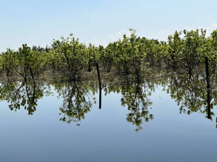 Cachi allagati alluvione Romagna cambiamento climatico
