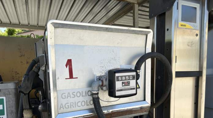 gasolio agricolo