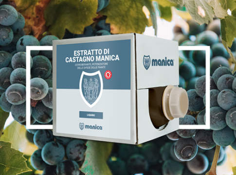 antiperonosporico vite