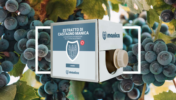 antiperonosporico vite