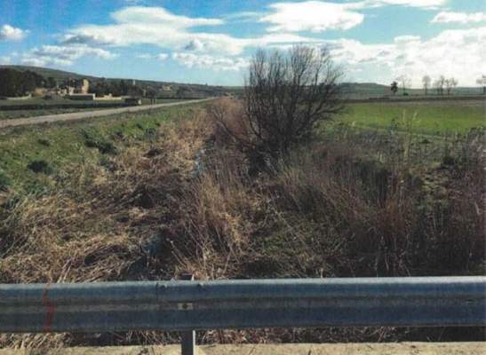 confagricoltura puglia canali