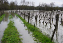 gestione del rischio