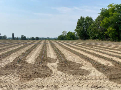 fertilizzanti bio agribios