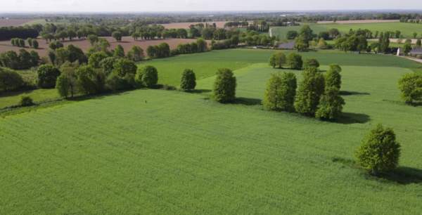 La Chant du Blé -Francia