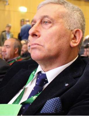 xylella comissario governativo