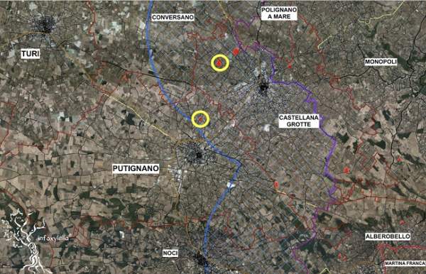 monitoraggio xylella