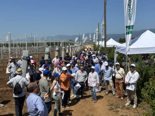 gestione del rischio