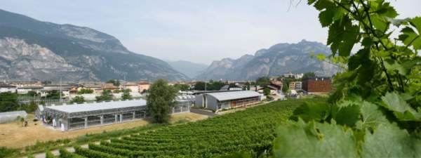 nuova serra fondazione mach