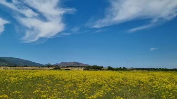 biodiversità funzionale