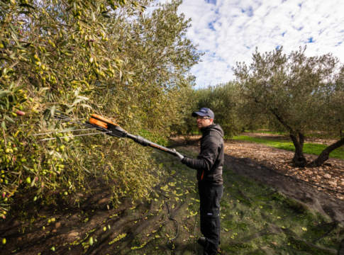 agevolatore raccolta olive pellenc power 48