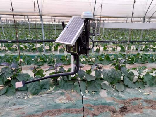 agricoltura di precisione