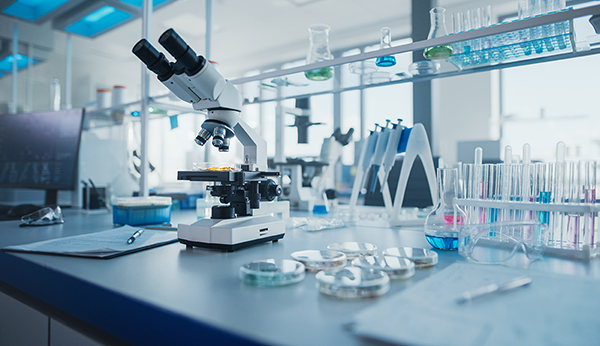 nanomolecole contro xylella