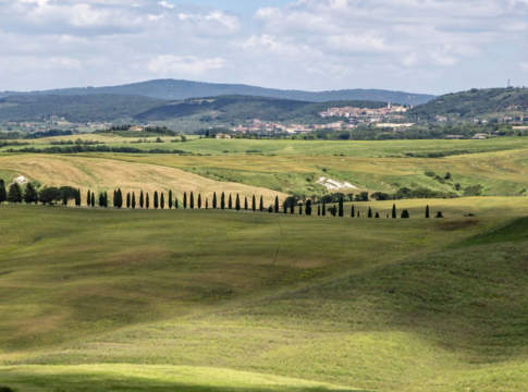 basf agricultural solutions