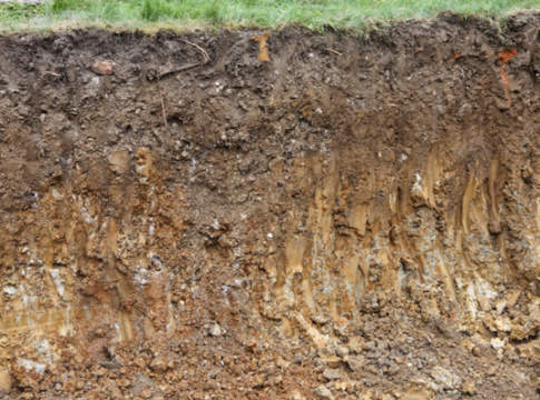 Il degrado del suolo taglia del 10% le rese agricole degrado del suolo