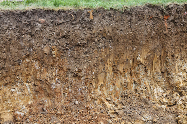 suolo terreno fertilità degrado del suolo