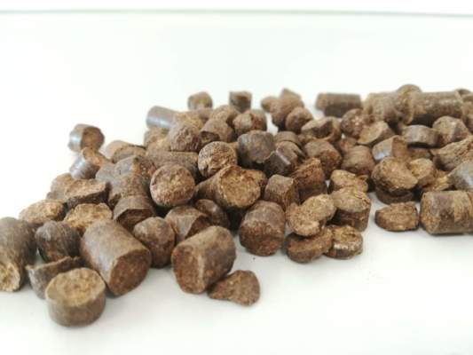 fertilizzante organico caffè